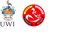 The UWI China Institute of Information Technology