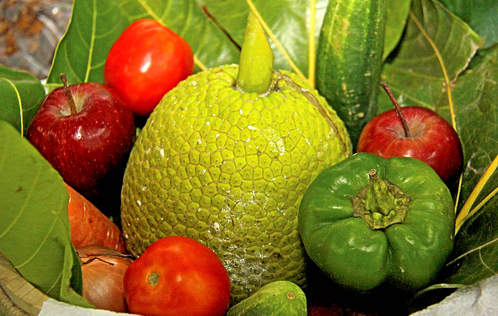 An exciting opportunity to revive agriculture in the Caribbean: The 2015 International Breadfruit Conference, 