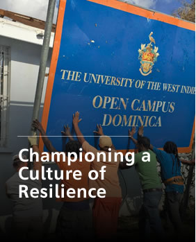 Championing a Culture of Resilience